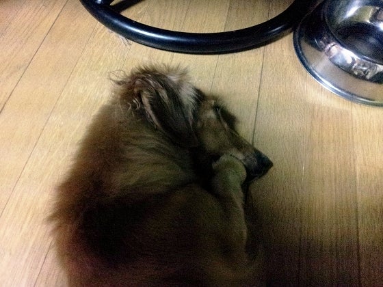 鉄　は　熱　い　う　ち　に　打　て　　　　(*ﾟ∀ﾟ)=3ﾑｯﾊｰ