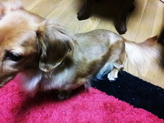 鉄　は　熱　い　う　ち　に　打　て　　　　(*ﾟ∀ﾟ)=3ﾑｯﾊｰ