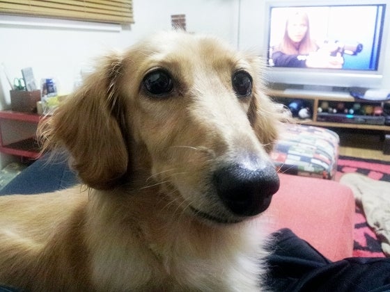 鉄　は　熱　い　う　ち　に　打　て　　　　(*ﾟ∀ﾟ)=3ﾑｯﾊｰ