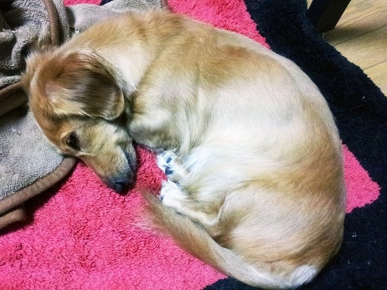 鉄　は　熱　い　う　ち　に　打　て　　　　(*ﾟ∀ﾟ)=3ﾑｯﾊｰ