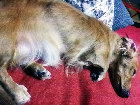 鉄　は　熱　い　う　ち　に　打　て　　　　(*ﾟ∀ﾟ)=3ﾑｯﾊｰ