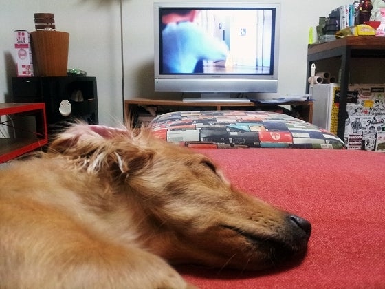 鉄　は　熱　い　う　ち　に　打　て　　　　(*ﾟ∀ﾟ)=3ﾑｯﾊｰ