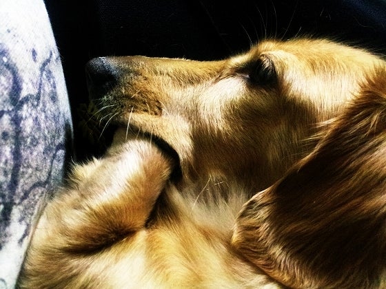 鉄　は　熱　い　う　ち　に　打　て　　　　(*ﾟ∀ﾟ)=3ﾑｯﾊｰ