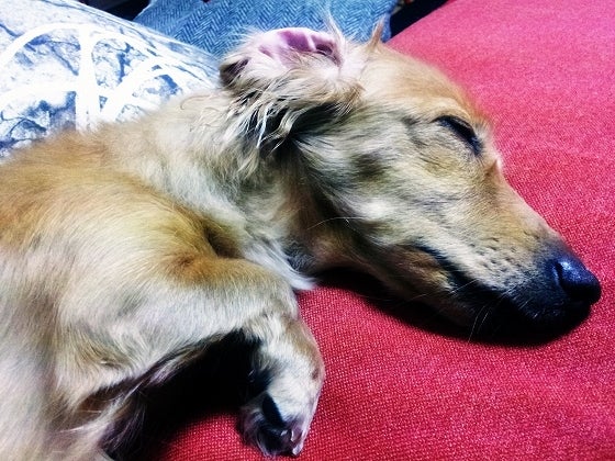 鉄　は　熱　い　う　ち　に　打　て　　　　(*ﾟ∀ﾟ)=3ﾑｯﾊｰ