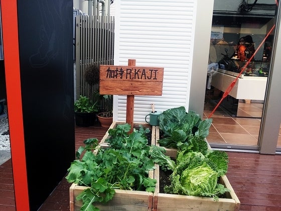 鉄　は　熱　い　う　ち　に　打　て　　　　(*ﾟ∀ﾟ)=3ﾑｯﾊｰ