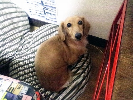 鉄　は　熱　い　う　ち　に　打　て　　　　(*ﾟ∀ﾟ)=3ﾑｯﾊｰ