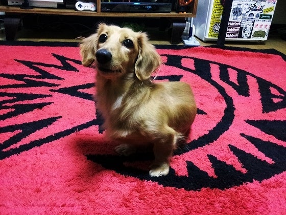 鉄　は　熱　い　う　ち　に　打　て　　　　(*ﾟ∀ﾟ)=3ﾑｯﾊｰ