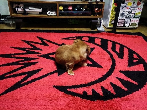 鉄　は　熱　い　う　ち　に　打　て　　　　(*ﾟ∀ﾟ)=3ﾑｯﾊｰ