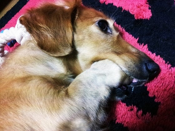 鉄　は　熱　い　う　ち　に　打　て　　　　(*ﾟ∀ﾟ)=3ﾑｯﾊｰ