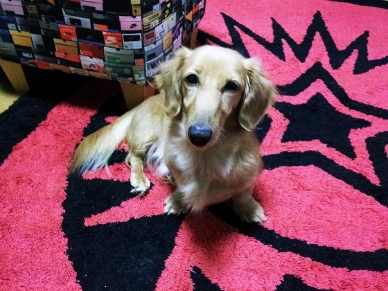 鉄　は　熱　い　う　ち　に　打　て　　　　(*ﾟ∀ﾟ)=3ﾑｯﾊｰ