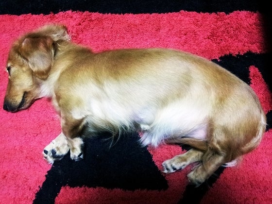 鉄　は　熱　い　う　ち　に　打　て　　　　(*ﾟ∀ﾟ)=3ﾑｯﾊｰ