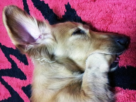 鉄　は　熱　い　う　ち　に　打　て　　　　(*ﾟ∀ﾟ)=3ﾑｯﾊｰ