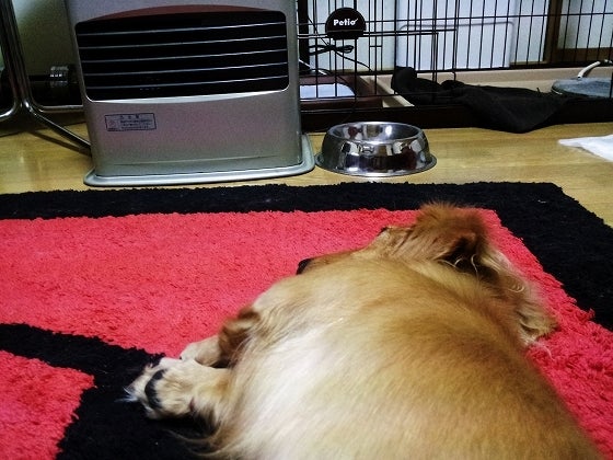 鉄　は　熱　い　う　ち　に　打　て　　　　(*ﾟ∀ﾟ)=3ﾑｯﾊｰ