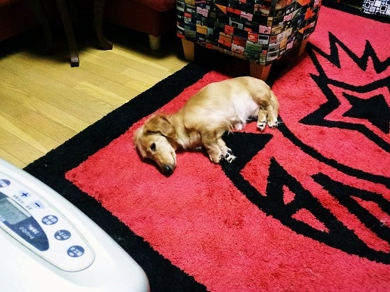 鉄　は　熱　い　う　ち　に　打　て　　　　(*ﾟ∀ﾟ)=3ﾑｯﾊｰ