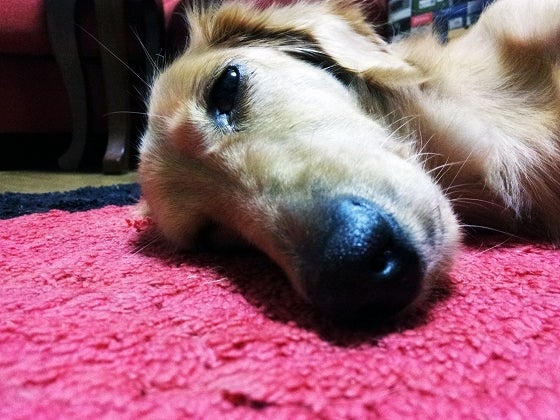 鉄　は　熱　い　う　ち　に　打　て　　　　(*ﾟ∀ﾟ)=3ﾑｯﾊｰ