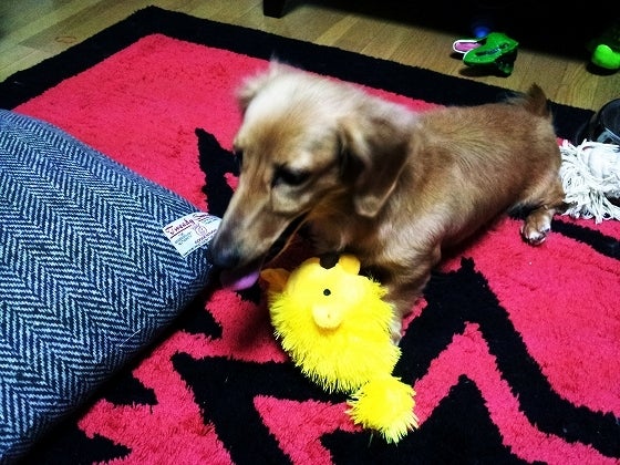 鉄　は　熱　い　う　ち　に　打　て　　　　(*ﾟ∀ﾟ)=3ﾑｯﾊｰ