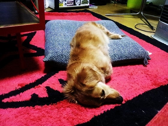 鉄　は　熱　い　う　ち　に　打　て　　　　(*ﾟ∀ﾟ)=3ﾑｯﾊｰ