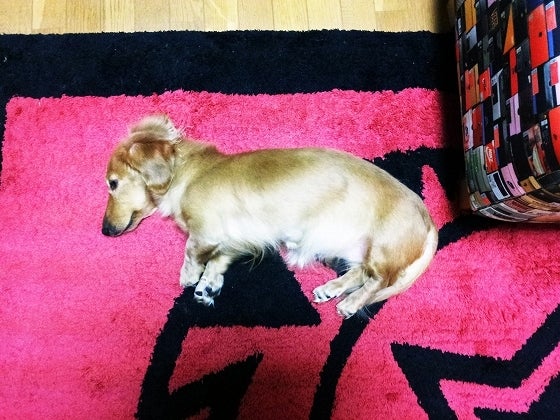 鉄　は　熱　い　う　ち　に　打　て　　　　(*ﾟ∀ﾟ)=3ﾑｯﾊｰ