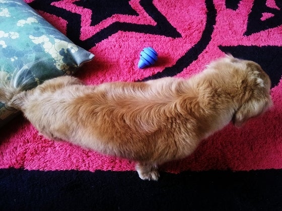 鉄　は　熱　い　う　ち　に　打　て　　　　(*ﾟ∀ﾟ)=3ﾑｯﾊｰ