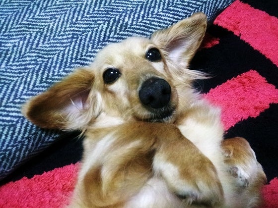 鉄　は　熱　い　う　ち　に　打　て　　　　(*ﾟ∀ﾟ)=3ﾑｯﾊｰ