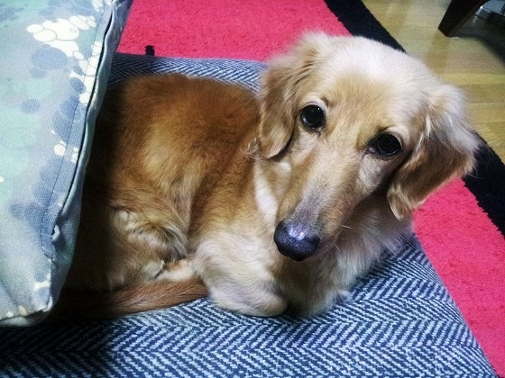 鉄　は　熱　い　う　ち　に　打　て　　　　(*ﾟ∀ﾟ)=3ﾑｯﾊｰ