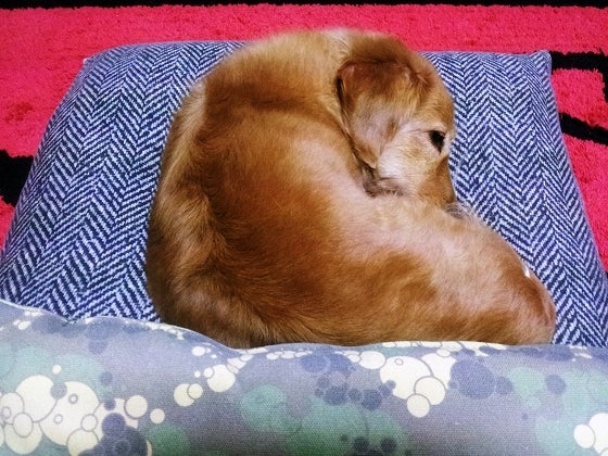 鉄　は　熱　い　う　ち　に　打　て　　　　(*ﾟ∀ﾟ)=3ﾑｯﾊｰ