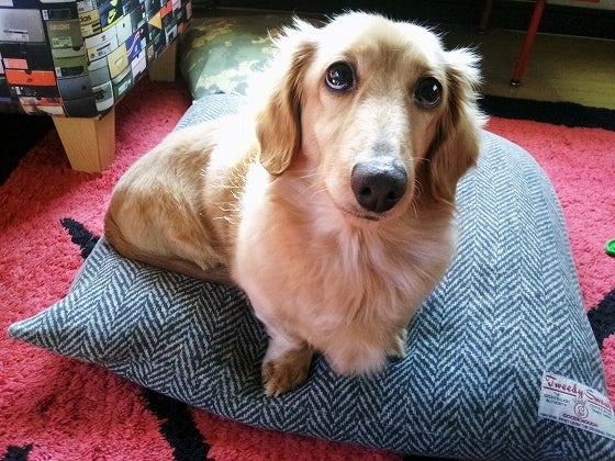 鉄　は　熱　い　う　ち　に　打　て　　　　(*ﾟ∀ﾟ)=3ﾑｯﾊｰ