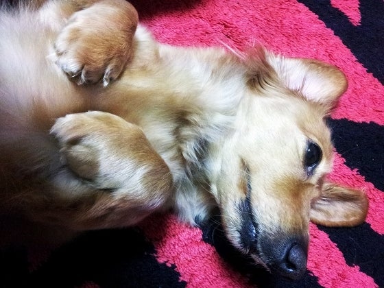 鉄　は　熱　い　う　ち　に　打　て　　　　(*ﾟ∀ﾟ)=3ﾑｯﾊｰ