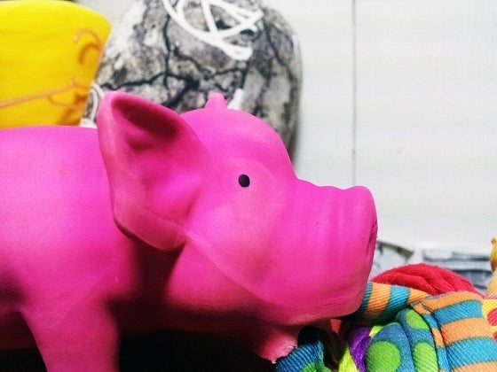 鉄　は　熱　い　う　ち　に　打　て　　　　(*ﾟ∀ﾟ)=3ﾑｯﾊｰ