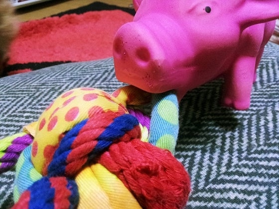 鉄　は　熱　い　う　ち　に　打　て　　　　(*ﾟ∀ﾟ)=3ﾑｯﾊｰ