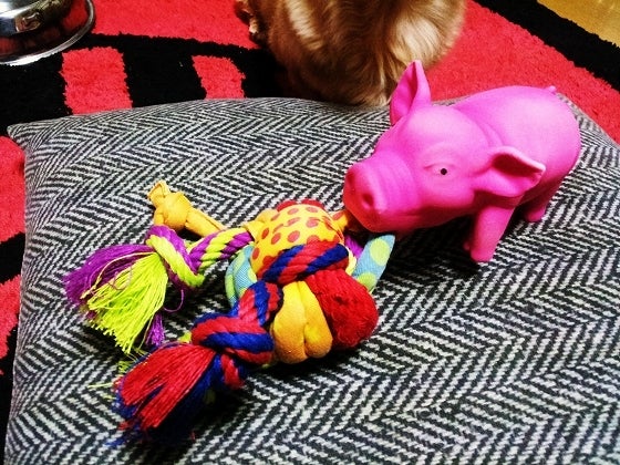 鉄　は　熱　い　う　ち　に　打　て　　　　(*ﾟ∀ﾟ)=3ﾑｯﾊｰ