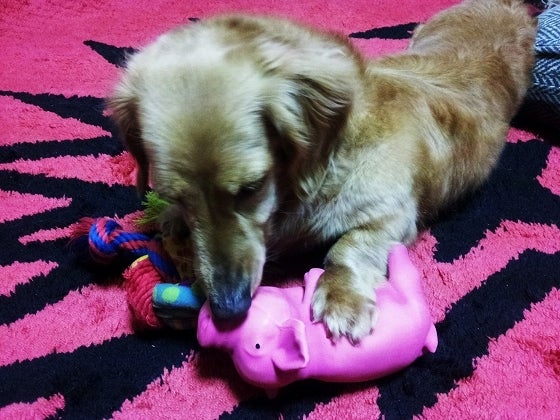 鉄　は　熱　い　う　ち　に　打　て　　　　(*ﾟ∀ﾟ)=3ﾑｯﾊｰ