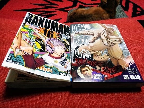 鉄　は　熱　い　う　ち　に　打　て　　　　(*ﾟ∀ﾟ)=3ﾑｯﾊｰ