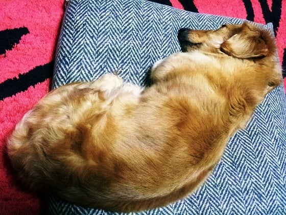 鉄　は　熱　い　う　ち　に　打　て　　　　(*ﾟ∀ﾟ)=3ﾑｯﾊｰ