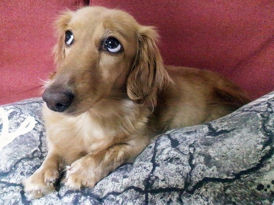 鉄　は　熱　い　う　ち　に　打　て　　　　(*ﾟ∀ﾟ)=3ﾑｯﾊｰ