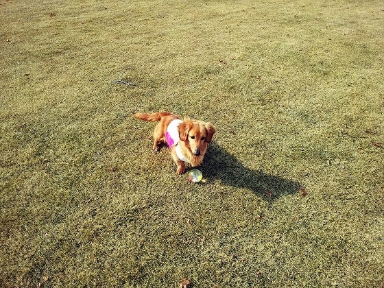 鉄　は　熱　い　う　ち　に　打　て　　　　(*ﾟ∀ﾟ)=3ﾑｯﾊｰ