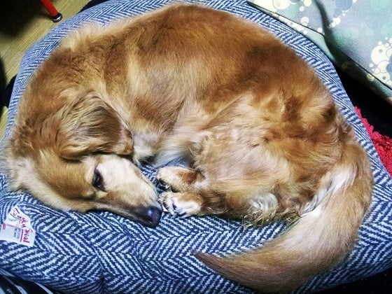 鉄　は　熱　い　う　ち　に　打　て　　　　(*ﾟ∀ﾟ)=3ﾑｯﾊｰ