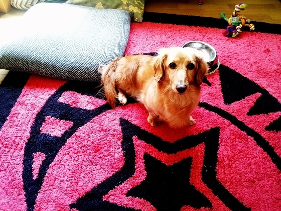 鉄　は　熱　い　う　ち　に　打　て　　　　(*ﾟ∀ﾟ)=3ﾑｯﾊｰ