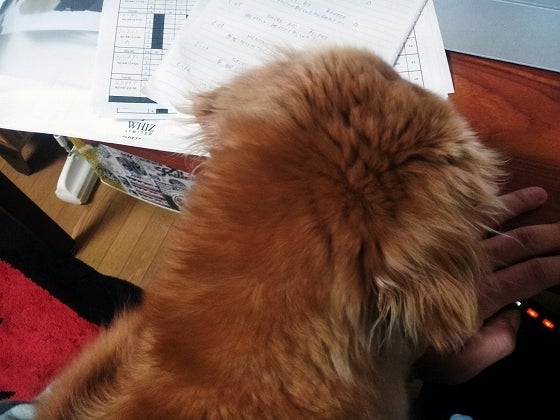 鉄　は　熱　い　う　ち　に　打　て　　　　(*ﾟ∀ﾟ)=3ﾑｯﾊｰ