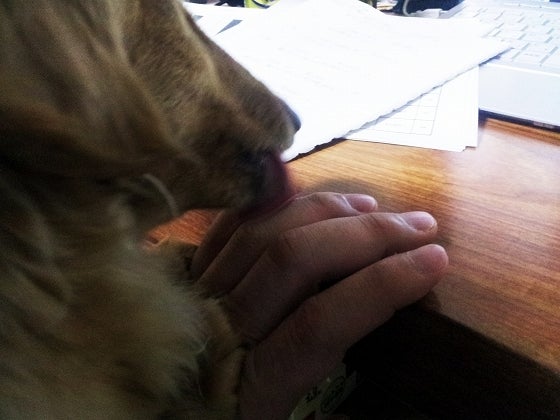 鉄　は　熱　い　う　ち　に　打　て　　　　(*ﾟ∀ﾟ)=3ﾑｯﾊｰ