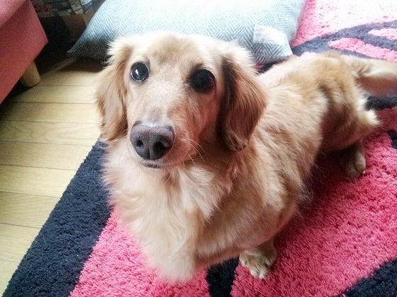 鉄　は　熱　い　う　ち　に　打　て　　　　(*ﾟ∀ﾟ)=3ﾑｯﾊｰ