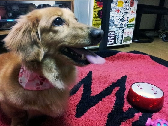 鉄　は　熱　い　う　ち　に　打　て　　　　(*ﾟ∀ﾟ)=3ﾑｯﾊｰ