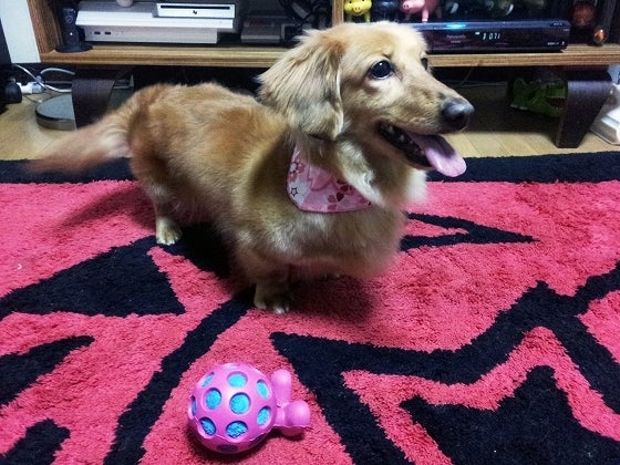 鉄　は　熱　い　う　ち　に　打　て　　　　(*ﾟ∀ﾟ)=3ﾑｯﾊｰ