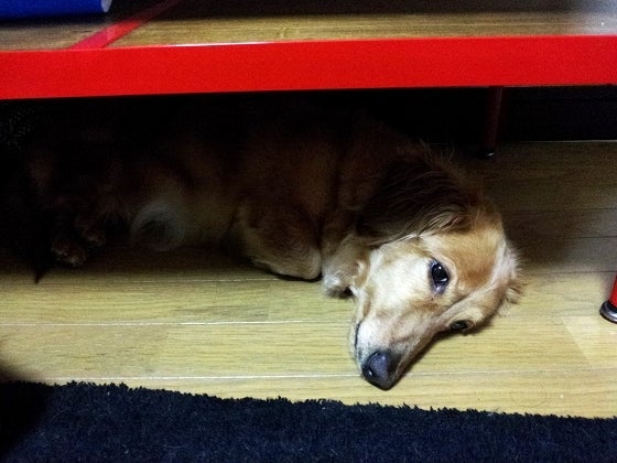 鉄　は　熱　い　う　ち　に　打　て　　　　(*ﾟ∀ﾟ)=3ﾑｯﾊｰ