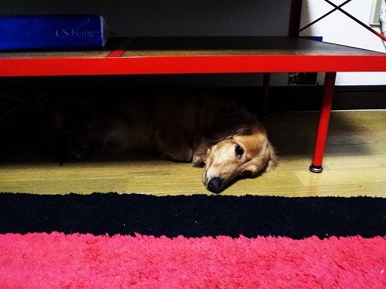 鉄　は　熱　い　う　ち　に　打　て　　　　(*ﾟ∀ﾟ)=3ﾑｯﾊｰ