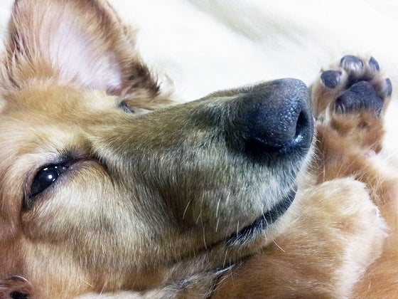 鉄　は　熱　い　う　ち　に　打　て　　　　(*ﾟ∀ﾟ)=3ﾑｯﾊｰ