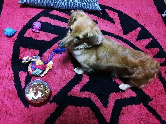 鉄　は　熱　い　う　ち　に　打　て　　　　(*ﾟ∀ﾟ)=3ﾑｯﾊｰ