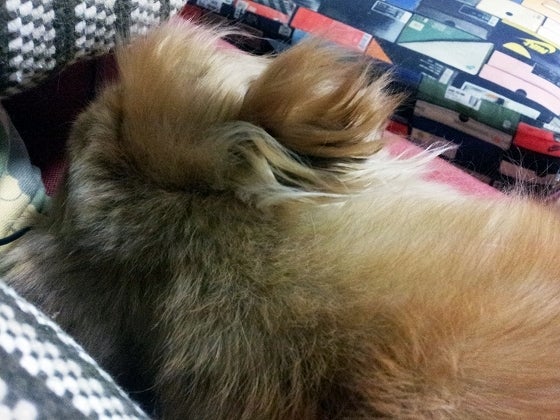 鉄　は　熱　い　う　ち　に　打　て　　　　(*ﾟ∀ﾟ)=3ﾑｯﾊｰ