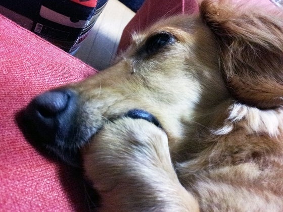 鉄　は　熱　い　う　ち　に　打　て　　　　(*ﾟ∀ﾟ)=3ﾑｯﾊｰ