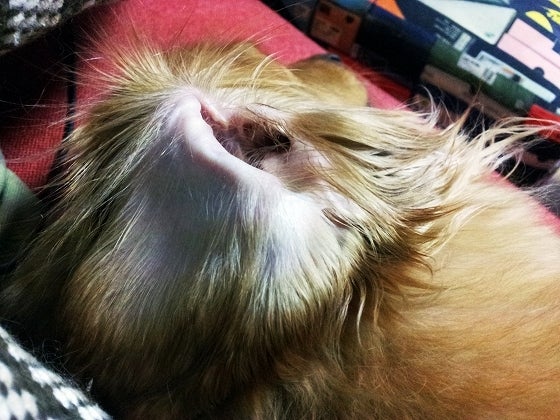 鉄　は　熱　い　う　ち　に　打　て　　　　(*ﾟ∀ﾟ)=3ﾑｯﾊｰ